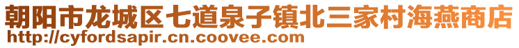 朝陽市龍城區七道泉子鎮北三家村海燕商店