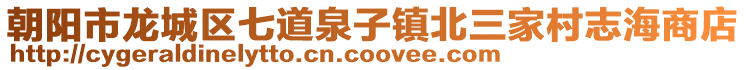 朝陽市龍城區七道泉子鎮北三家村志海商店