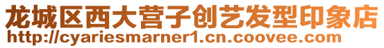 龍城區西大營子創藝發型印象店