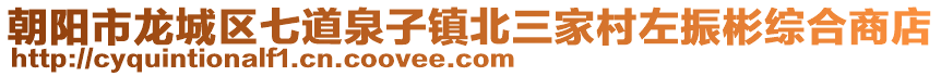 朝陽市龍城區(qū)七道泉子鎮(zhèn)北三家村左振彬綜合商店