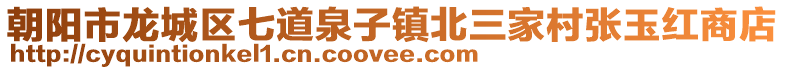朝陽市龍城區七道泉子鎮北三家村張玉紅商店