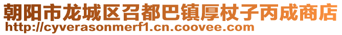 朝陽市龍城區召都巴鎮厚杖子丙成商店