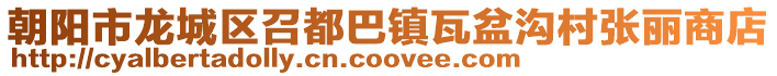 朝陽市龍城區召都巴鎮瓦盆溝村張麗商店