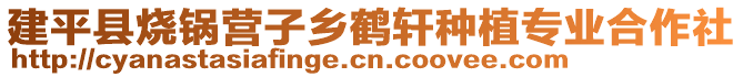 建平縣燒鍋營(yíng)子鄉(xiāng)鶴軒種植專業(yè)合作社