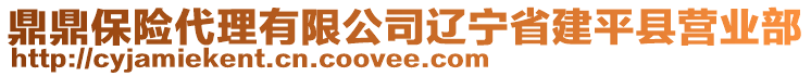 鼎鼎保險代理有限公司遼寧省建平縣營業部