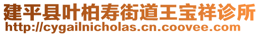 建平縣葉柏壽街道王寶祥診所