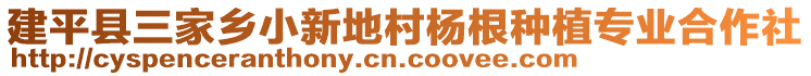 建平縣三家鄉(xiāng)小新地村楊根種植專業(yè)合作社