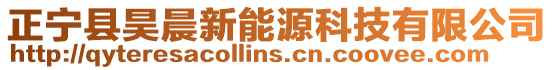 正寧縣昊晨新能源科技有限公司