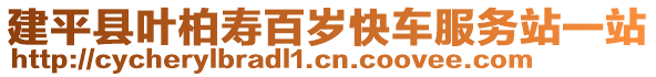 建平縣葉柏壽百歲快車服務(wù)站一站