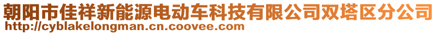 朝陽市佳祥新能源電動(dòng)車科技有限公司雙塔區(qū)分公司