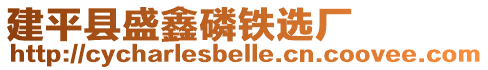 建平縣盛鑫磷鐵選廠