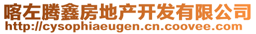 喀左騰鑫房地產(chǎn)開發(fā)有限公司