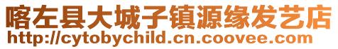 喀左縣大城子鎮(zhèn)源緣發(fā)藝店