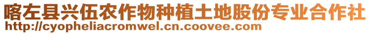 喀左縣興伍農(nóng)作物種植土地股份專業(yè)合作社