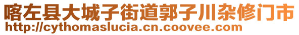 喀左縣大城子街道郭子川雜修門市