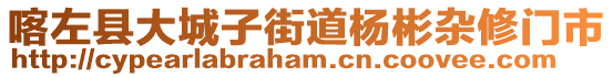 喀左縣大城子街道楊彬雜修門市