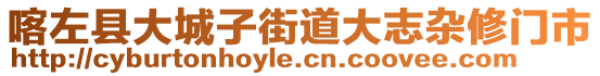 喀左縣大城子街道大志雜修門市