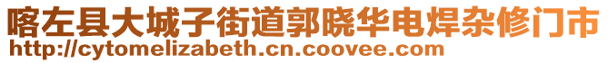 喀左縣大城子街道郭曉華電焊雜修門市