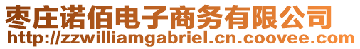 棗莊諾佰電子商務(wù)有限公司