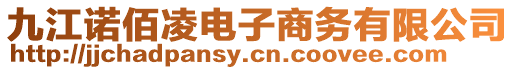 九江諾佰凌電子商務(wù)有限公司
