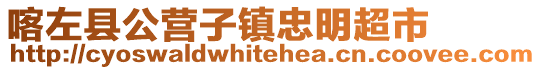 喀左縣公營(yíng)子鎮(zhèn)忠明超市