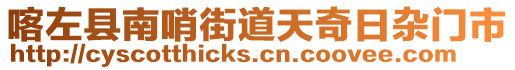 喀左縣南哨街道天奇日雜門市