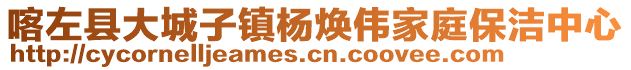 喀左縣大城子鎮(zhèn)楊煥偉家庭保潔中心