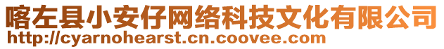 喀左縣小安仔網(wǎng)絡(luò)科技文化有限公司