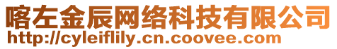 喀左金辰網(wǎng)絡(luò)科技有限公司