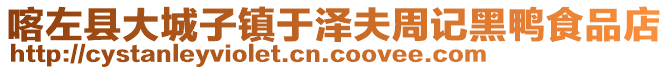 喀左縣大城子鎮(zhèn)于澤夫周記黑鴨食品店