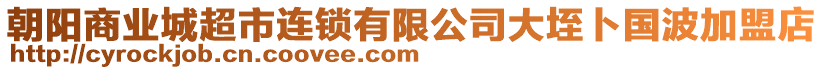 朝陽商業(yè)城超市連鎖有限公司大垤卜國(guó)波加盟店