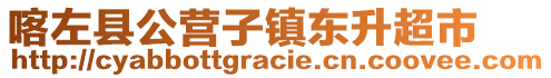 喀左縣公營子鎮(zhèn)東升超市