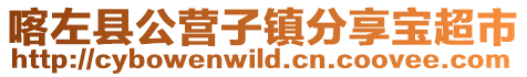 喀左縣公營子鎮分享寶超市