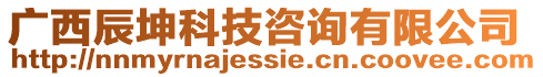 廣西辰坤科技咨詢有限公司