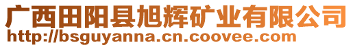 廣西田陽縣旭輝礦業(yè)有限公司