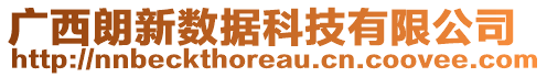 廣西朗新數(shù)據(jù)科技有限公司