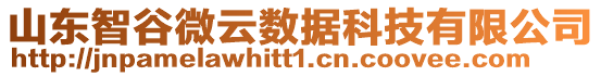 山東智谷微云數(shù)據(jù)科技有限公司