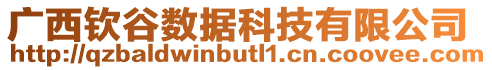 廣西欽谷數(shù)據(jù)科技有限公司