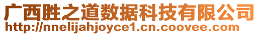 廣西勝之道數(shù)據(jù)科技有限公司