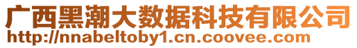 廣西黑潮大數(shù)據(jù)科技有限公司