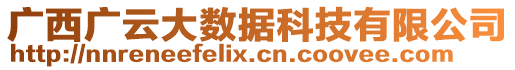 廣西廣云大數(shù)據(jù)科技有限公司