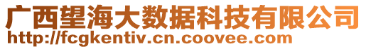 廣西望海大數(shù)據(jù)科技有限公司