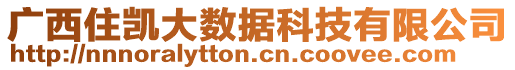 廣西住凱大數(shù)據(jù)科技有限公司