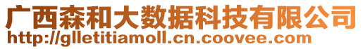 廣西森和大數(shù)據(jù)科技有限公司