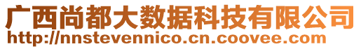 廣西尚都大數(shù)據(jù)科技有限公司