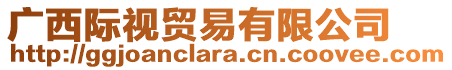 廣西際視貿易有限公司