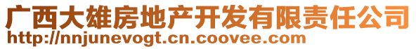 廣西大雄房地產(chǎn)開發(fā)有限責任公司