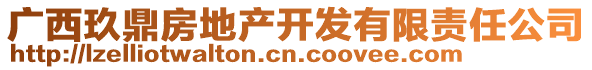 廣西玖鼎房地產(chǎn)開(kāi)發(fā)有限責(zé)任公司