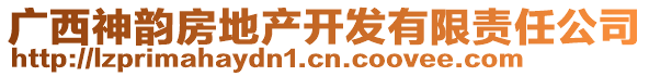 廣西神韻房地產(chǎn)開發(fā)有限責(zé)任公司