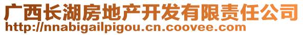 廣西長湖房地產(chǎn)開發(fā)有限責(zé)任公司